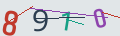verifycode